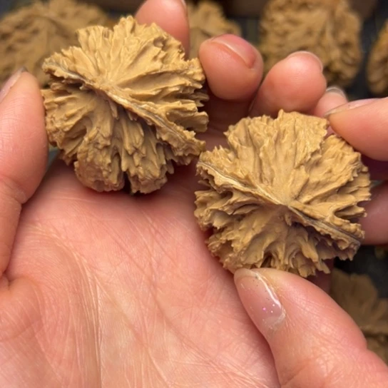 文玩核桃把件秦岭核桃8