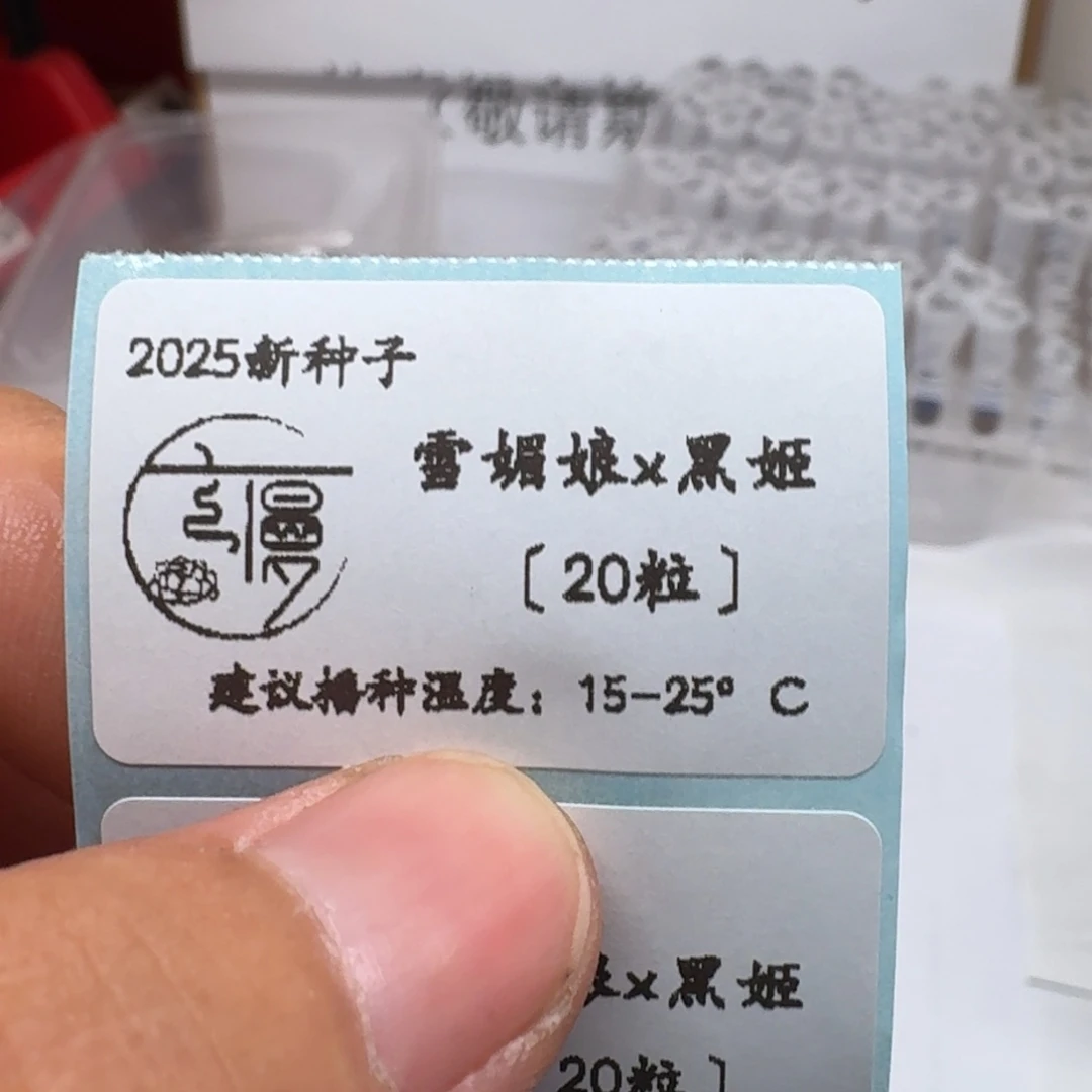 “雪媚娘x黑姬”种子20粒不包出芽率