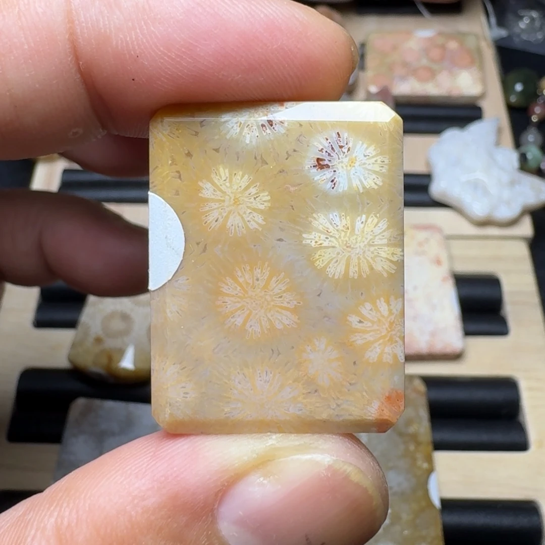 未镶嵌纯天然色有机玉石保真色硅化玉
