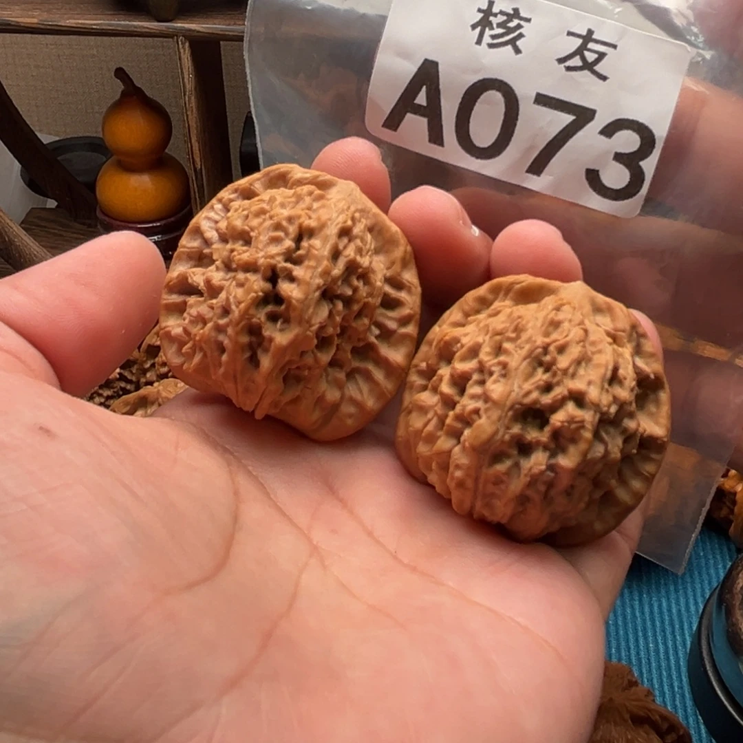 核桃马老四。