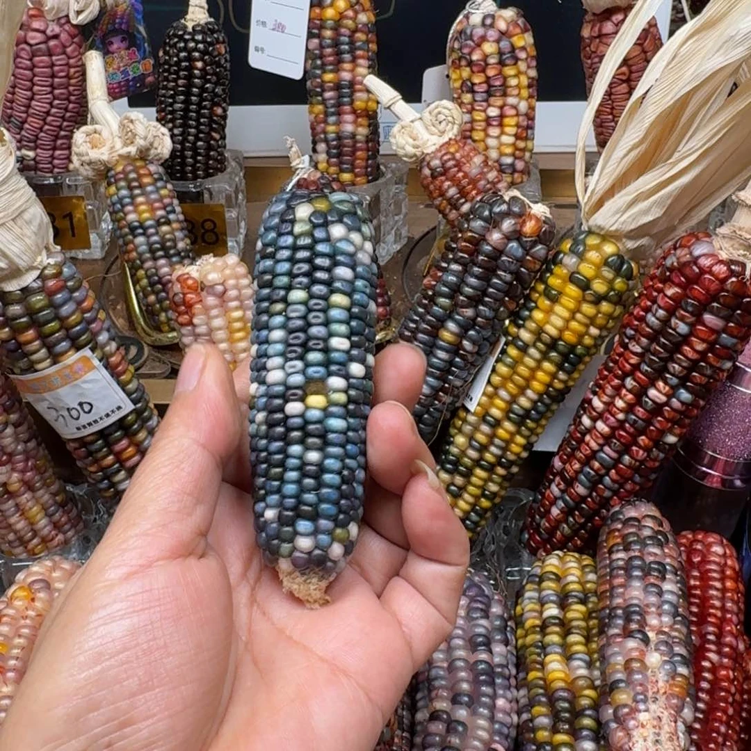 柏香籽/百香籽吊坠佩**姐