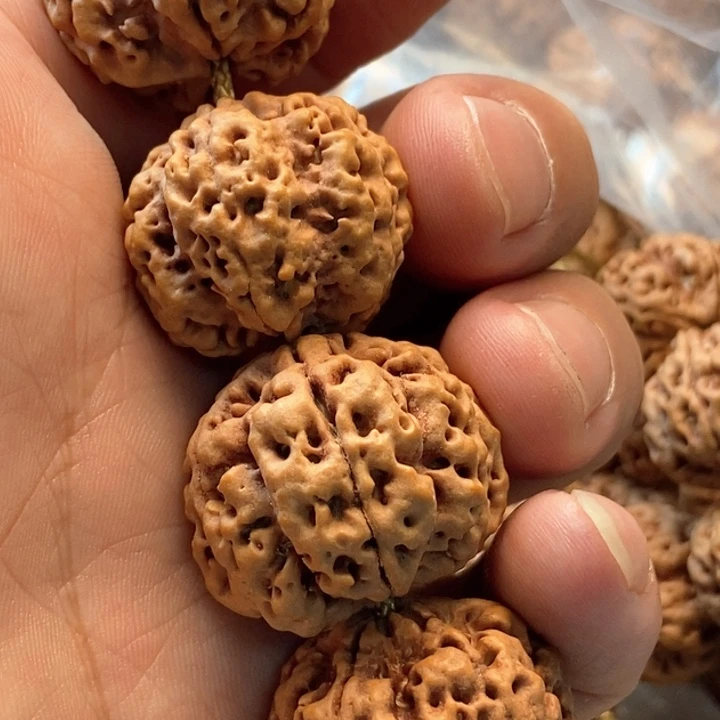 吊坠金刚菩提5瓣23梅花双龙