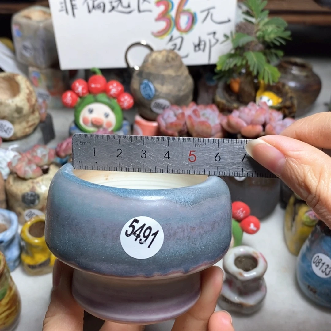 花盆拍5送一个小礼物