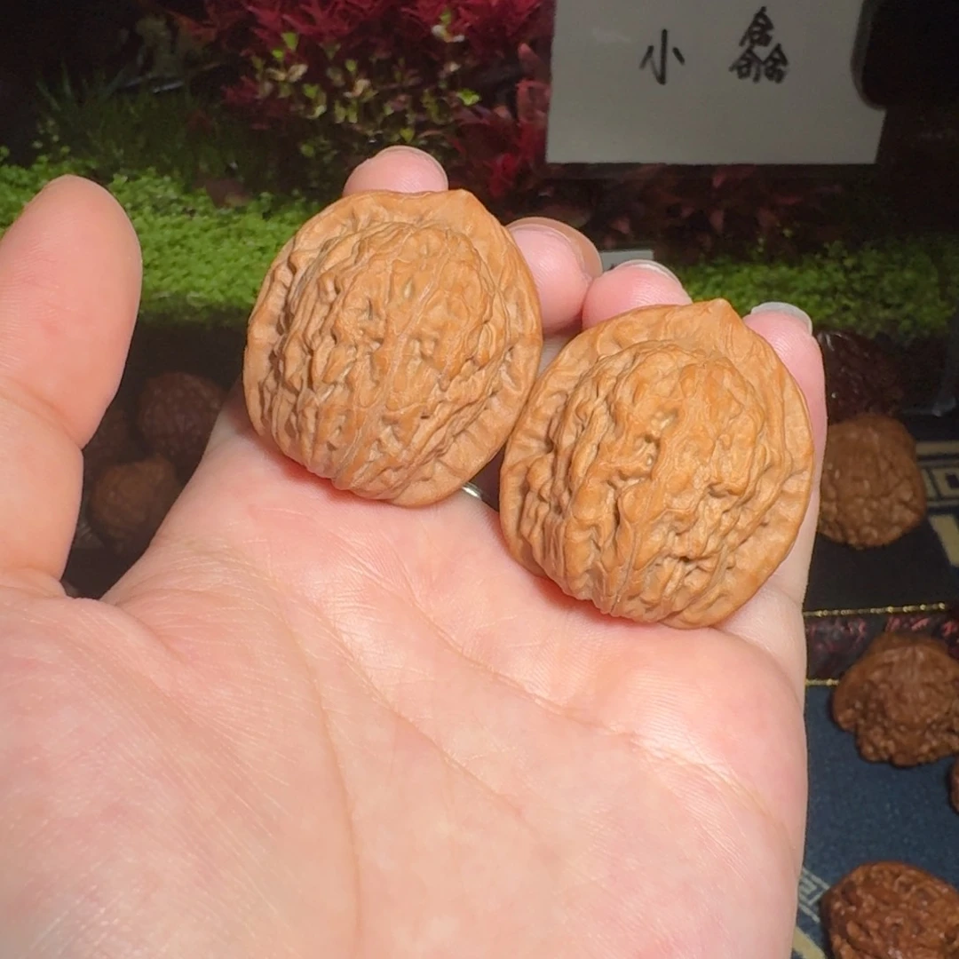 核桃把件1771号34玉观音文玩核桃