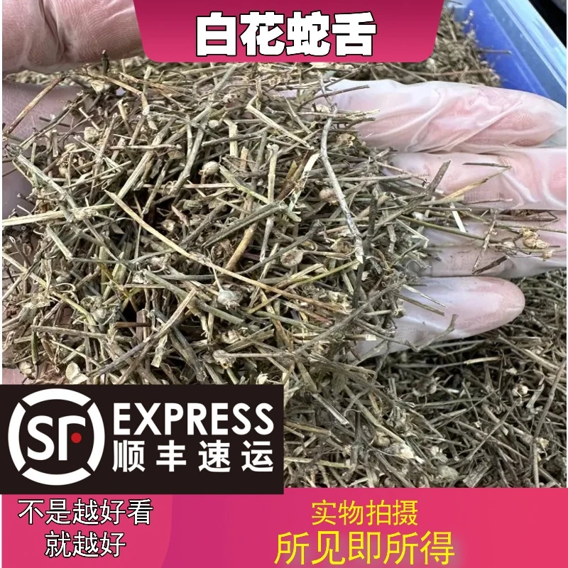 白花蛇舌草成都中药材批发别名：百花蛇舌草舌蛇草