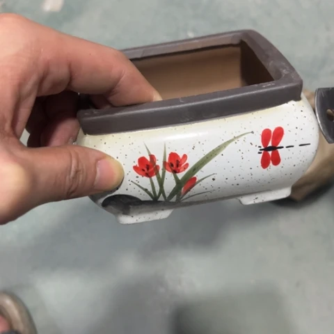 ［所有订单凑满15包邮］10×6