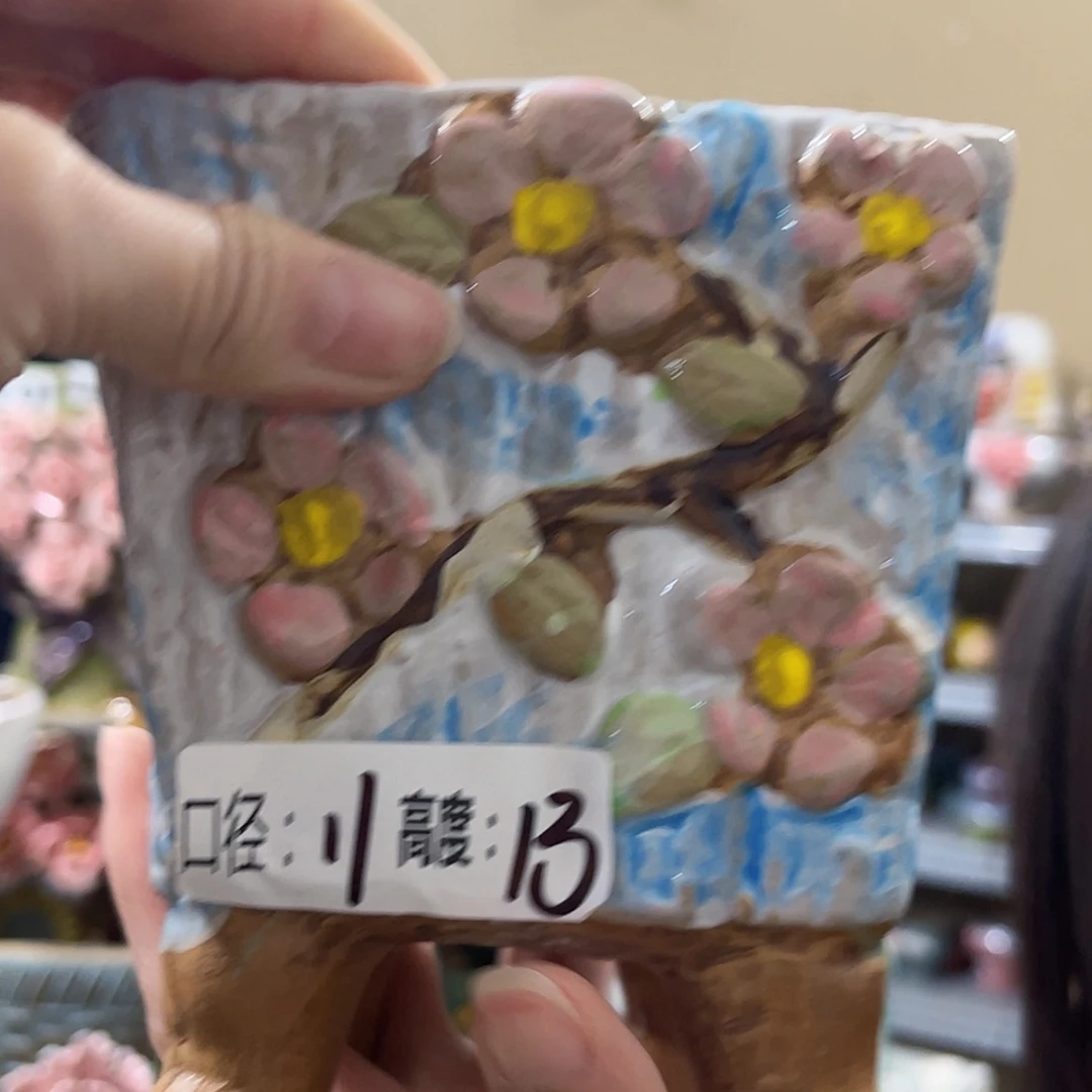 【闪购商品】红陶福利