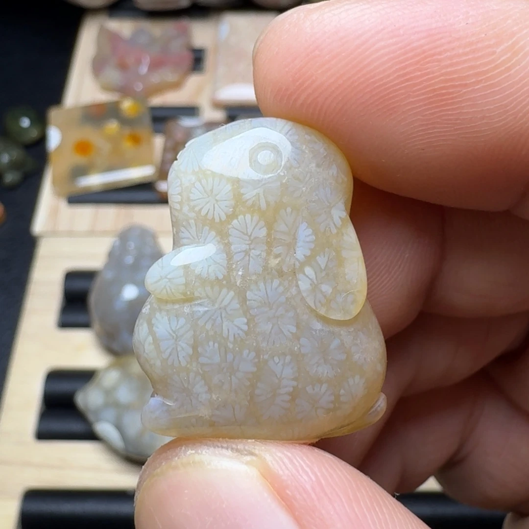 未镶嵌纯天然色有机玉石保真色硅化玉