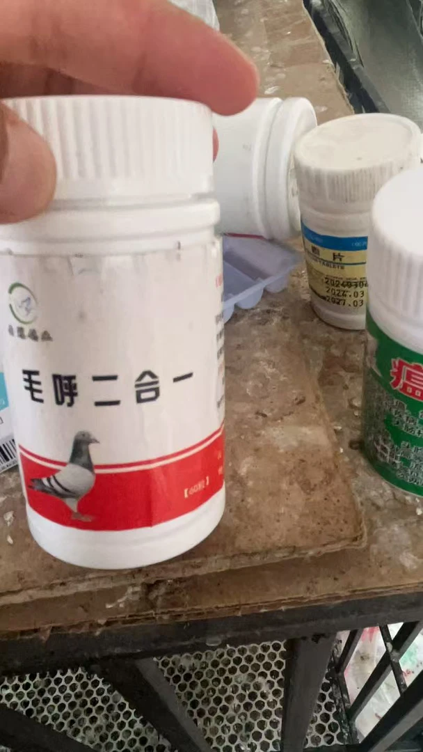 元宝鸽驱虫毛滴虫球虫腺虫条虫呼吸道问题