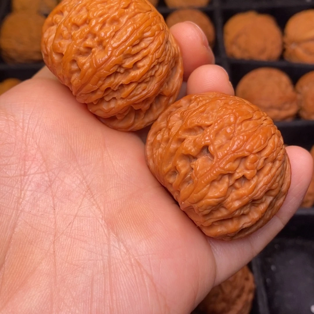 秦岭野生文玩核桃