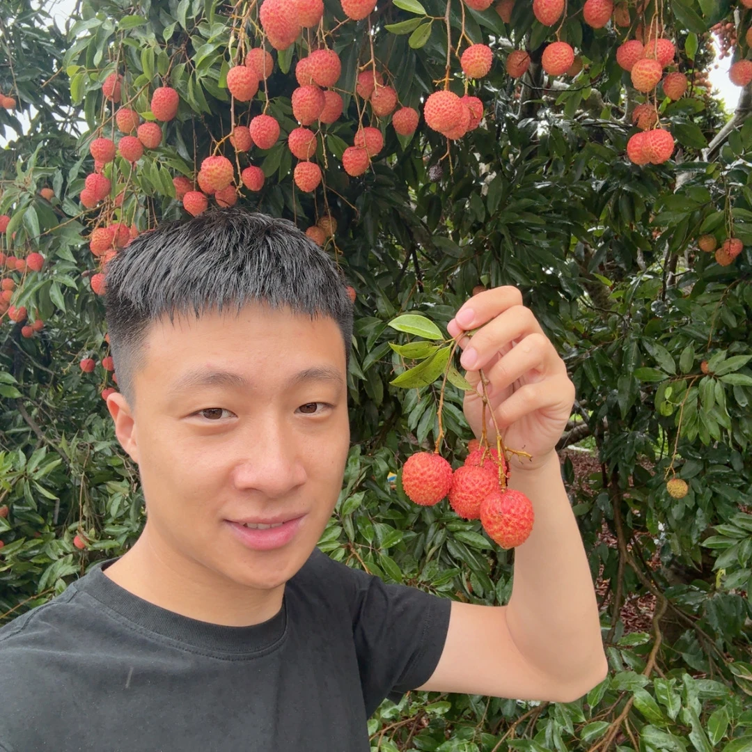 广东桂味荔枝4.5斤净  (广东 广西 湖南 江西 福建) 广东仓 顺丰