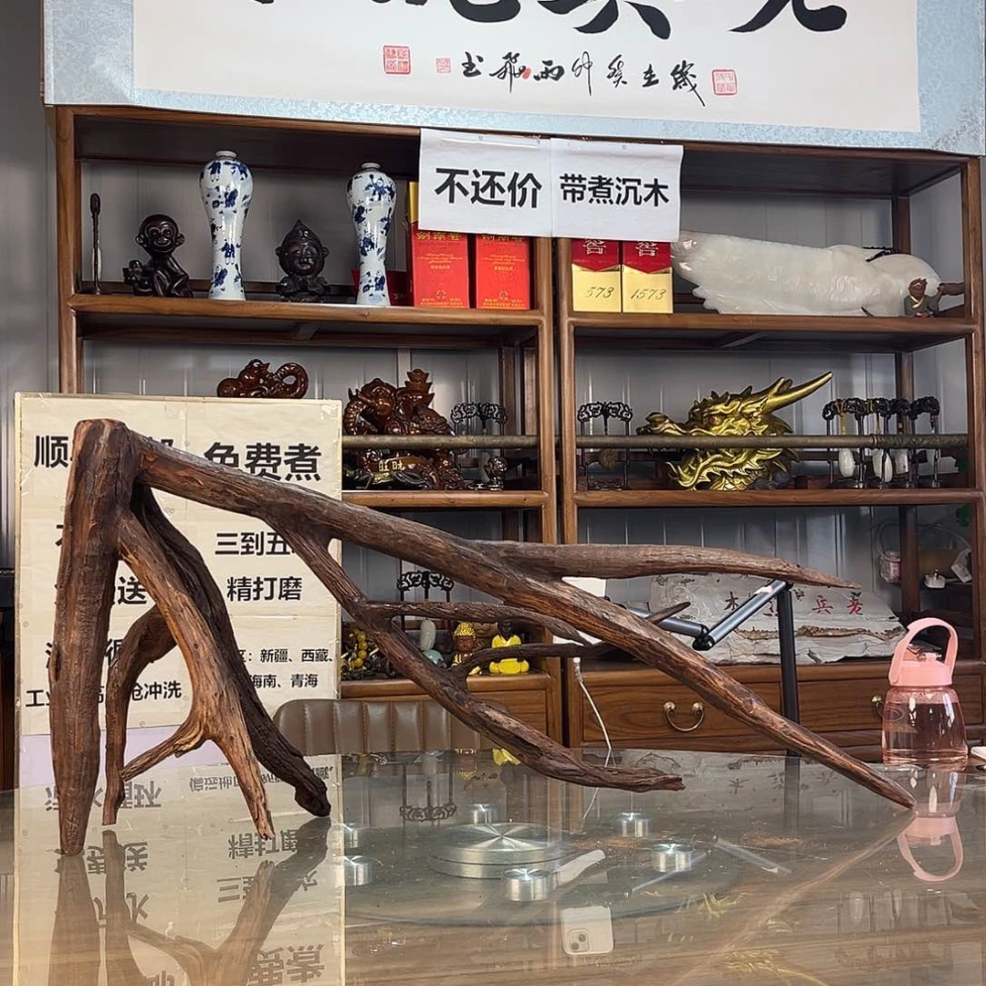 紫砂紫柚木一*_一木成景