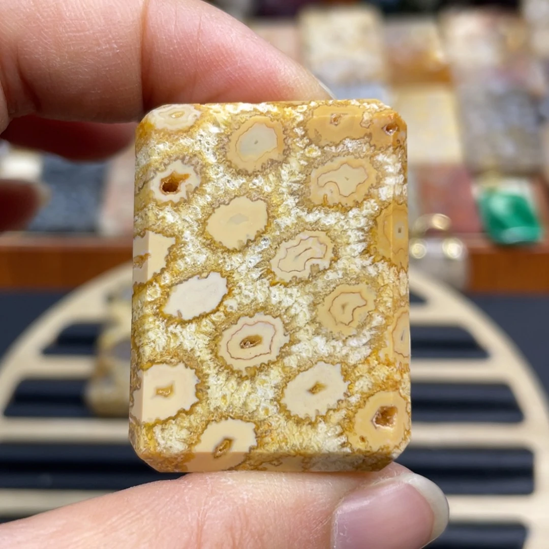 硅化玉未镶嵌颈饰40