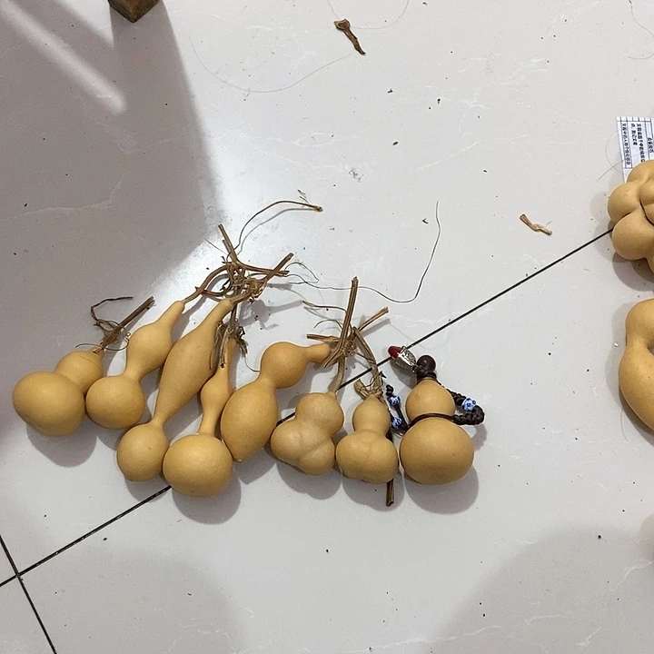 葫芦小手捻手把葫芦