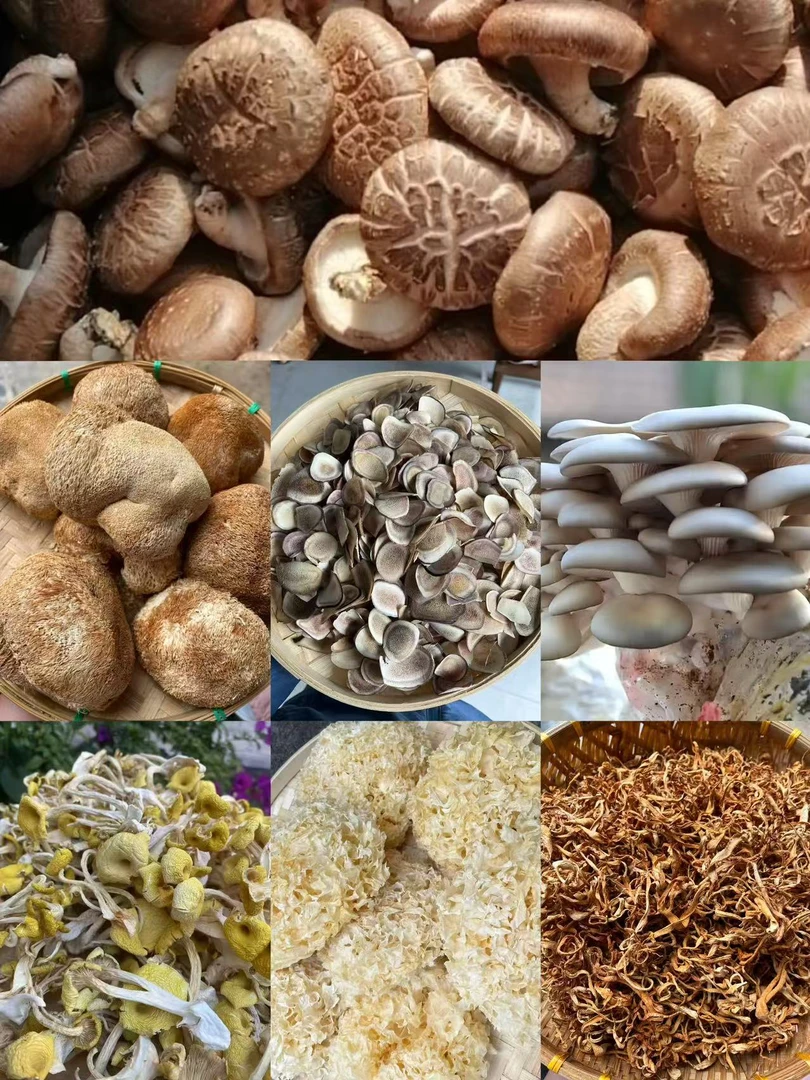 阿浩专属土特产》LRP 50克