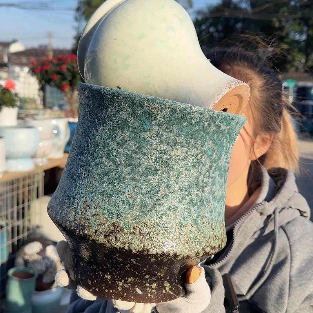 王嫂花盆直播1118-317