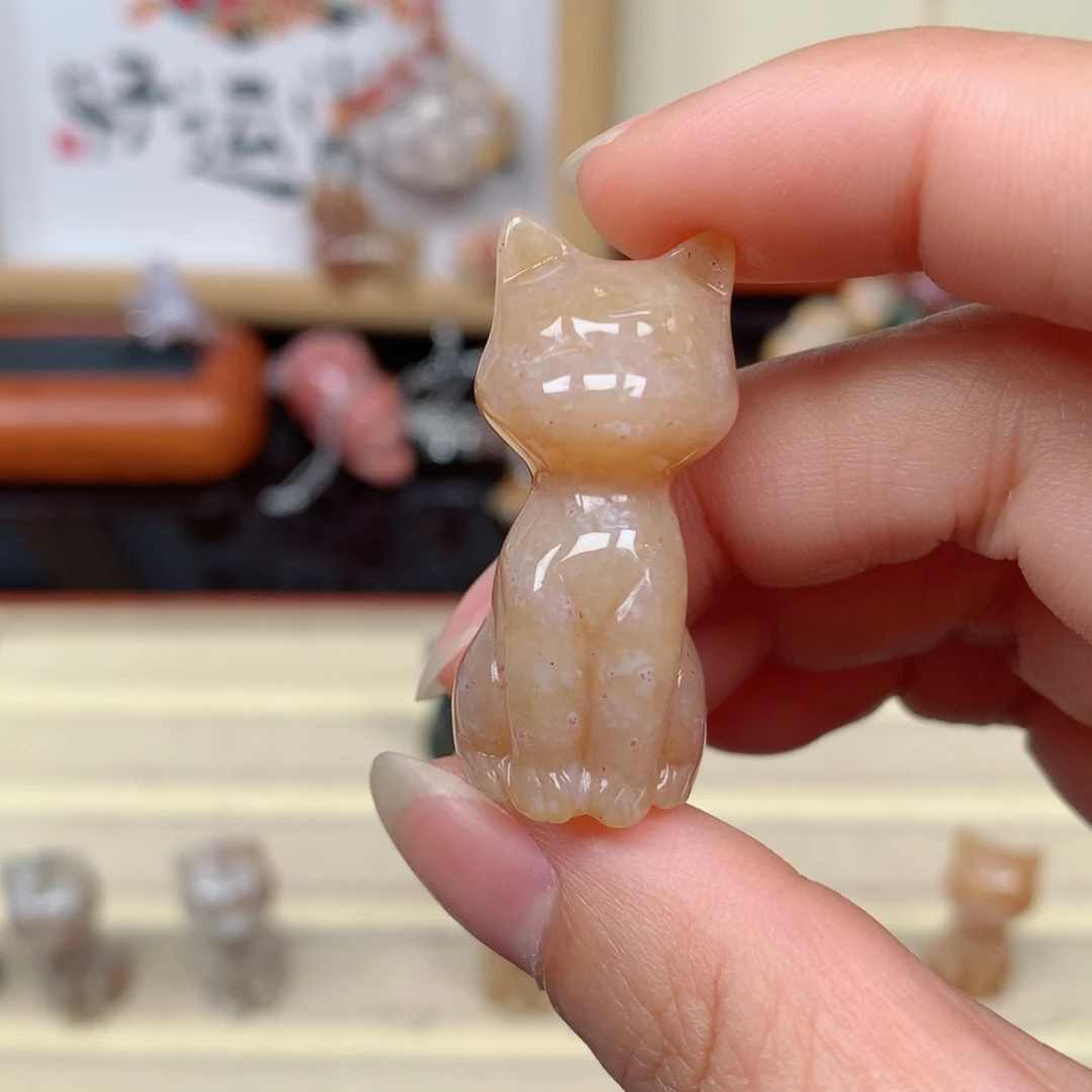 硅化玉珊瑚玉未镶嵌
