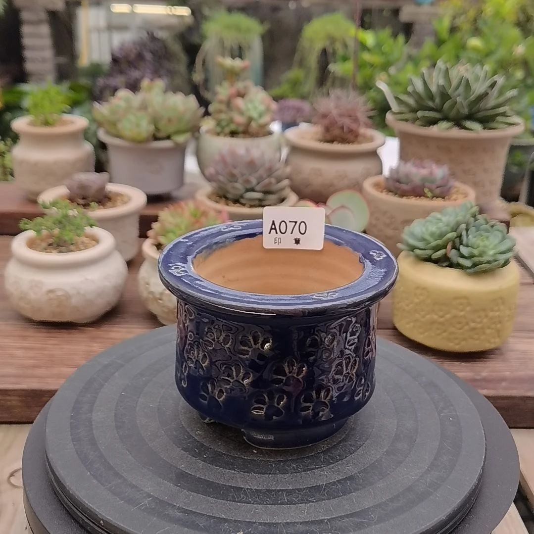印章多肉花盆A070