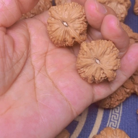 【闪购商品】文玩核桃吊坠与*瑕疵白狮子32