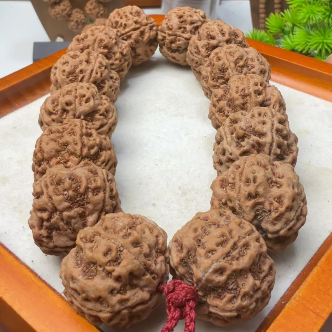 吊坠金刚菩提雪山铁籽粗筋梅花双龙爆肉超头