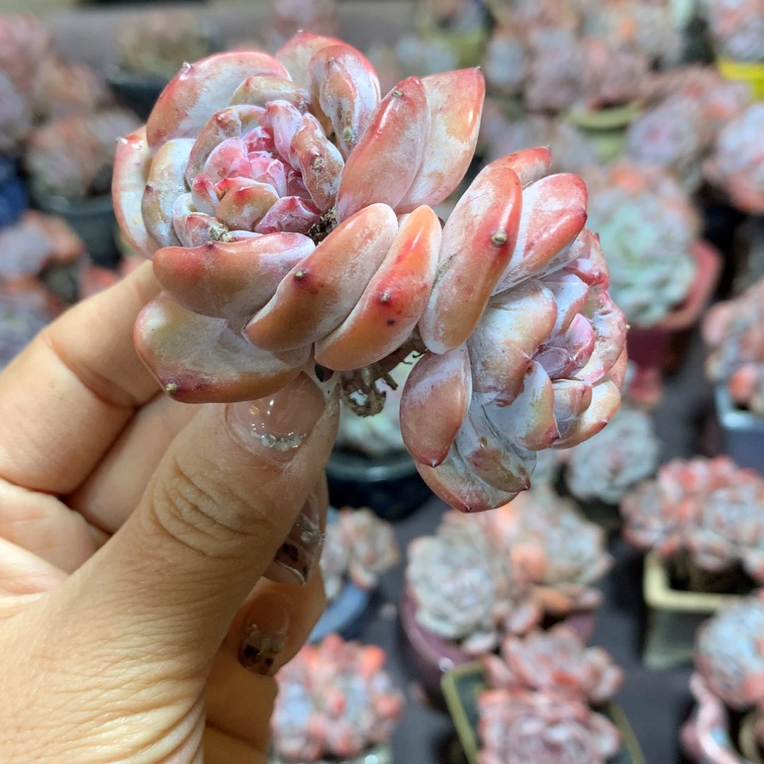 哈哈哈哈哈哈哈哈哈哈哈