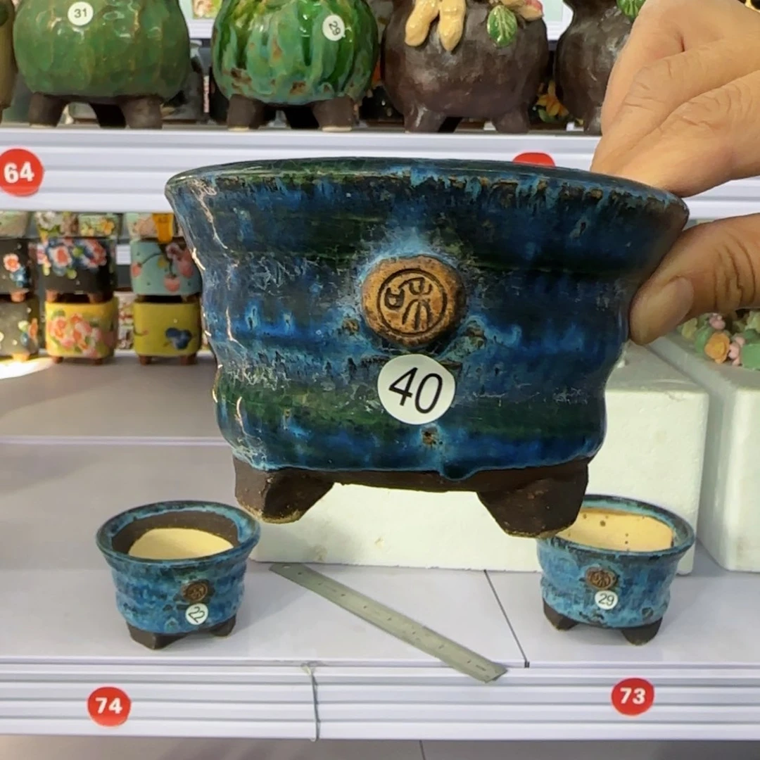 田小姐多肉花盆的