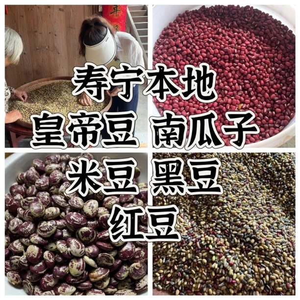 寿宁本地农家皇帝豆干，米豆，红豆，黑豆