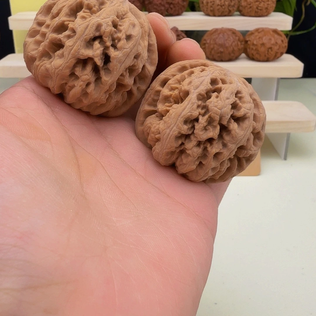 全品毕业级别平谷大粗筋42尺以上