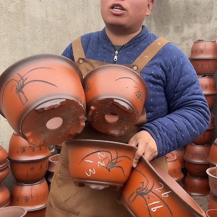 紫砂紫砂花盆盆栽