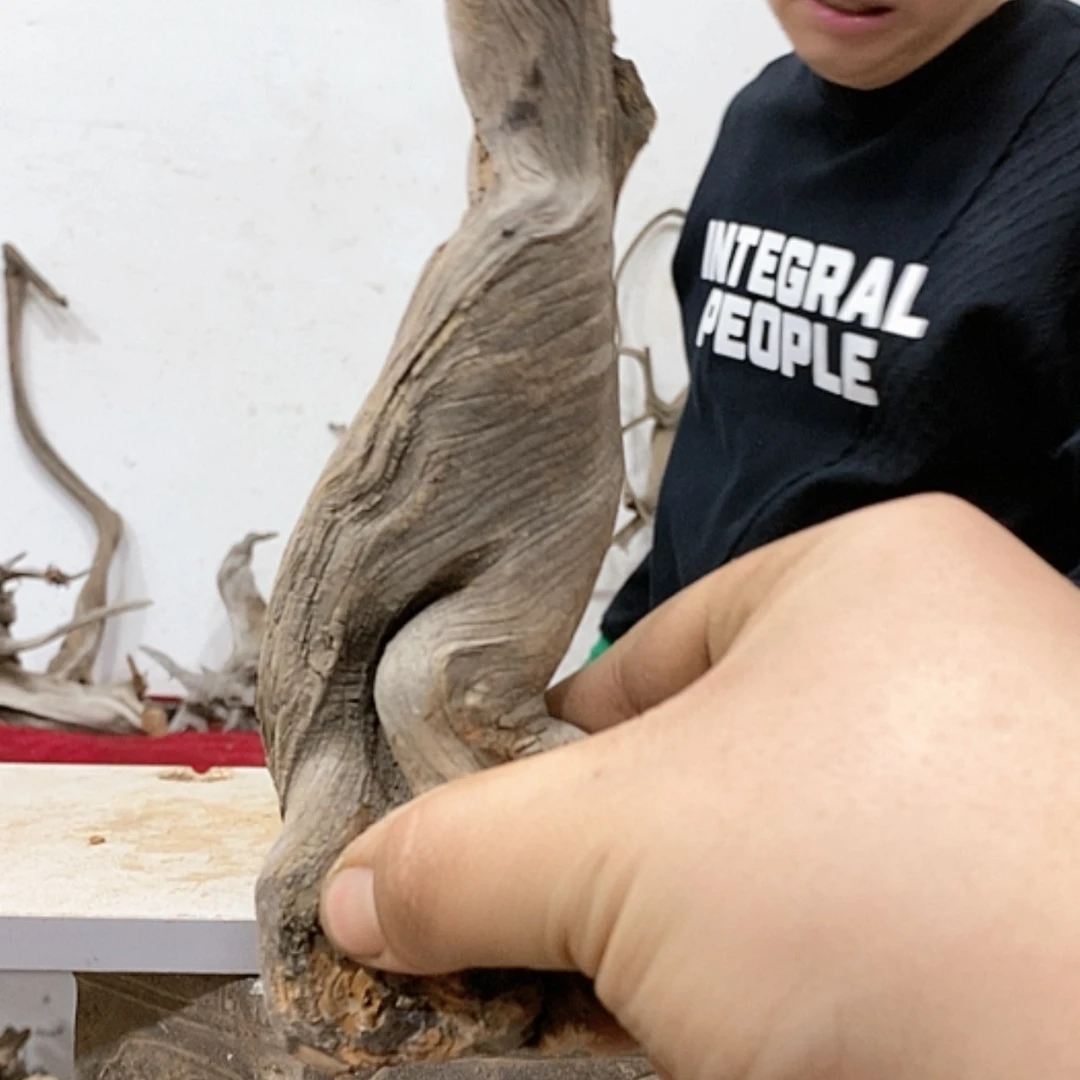 【闪购商品】柏木玉*珑我们都是好孩子