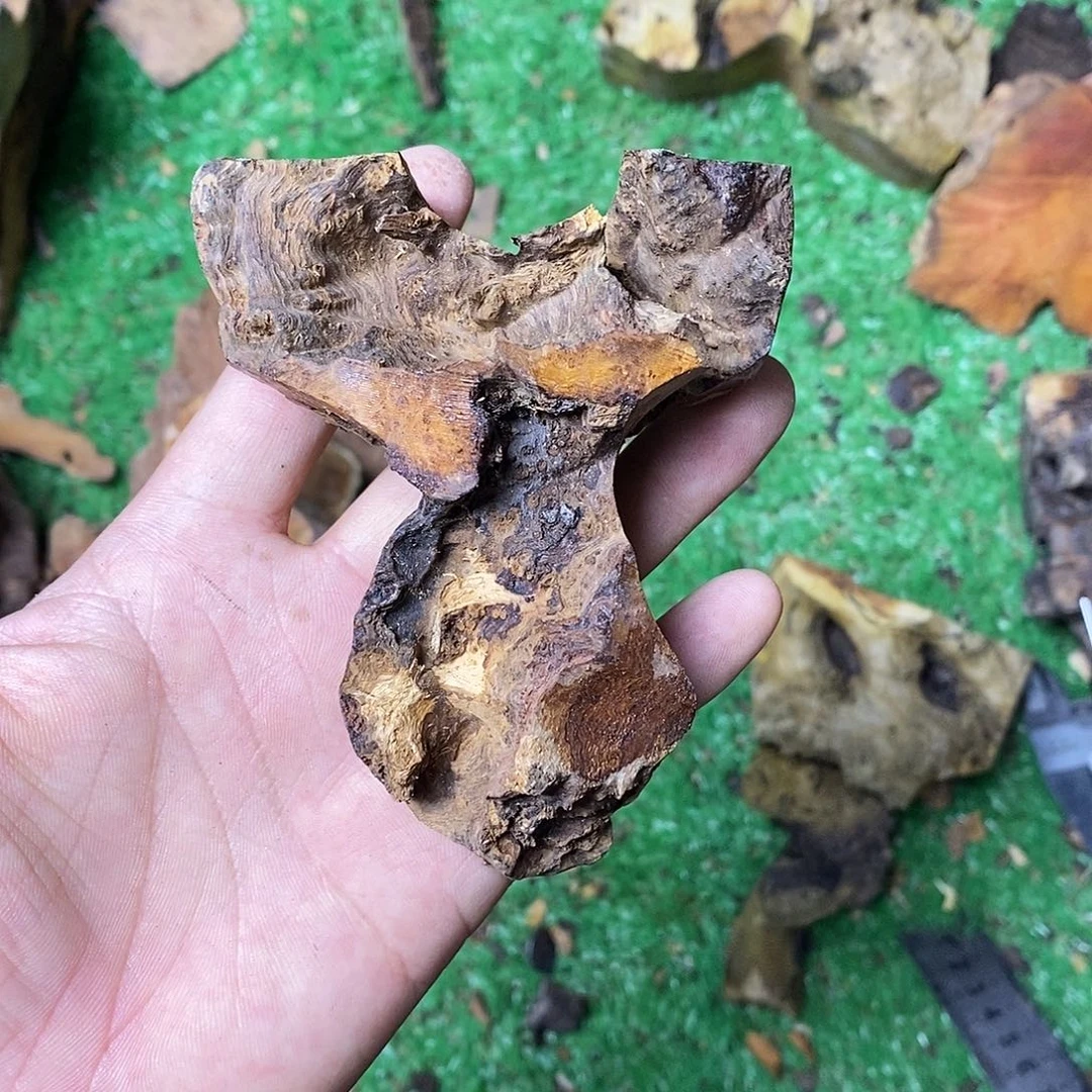 麻利疙瘩82825805