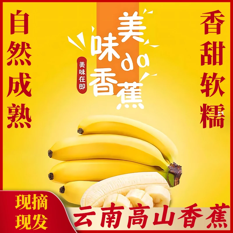 云南特产水果当季新鲜香甜薄皮自然熟小香蕉水果青皮香蕉网红爆款