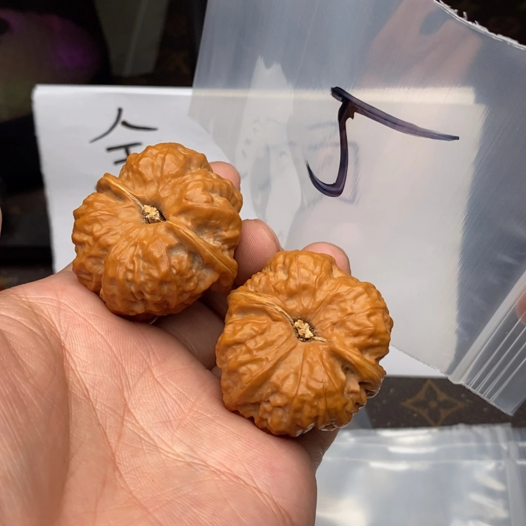 W479794794749794794947