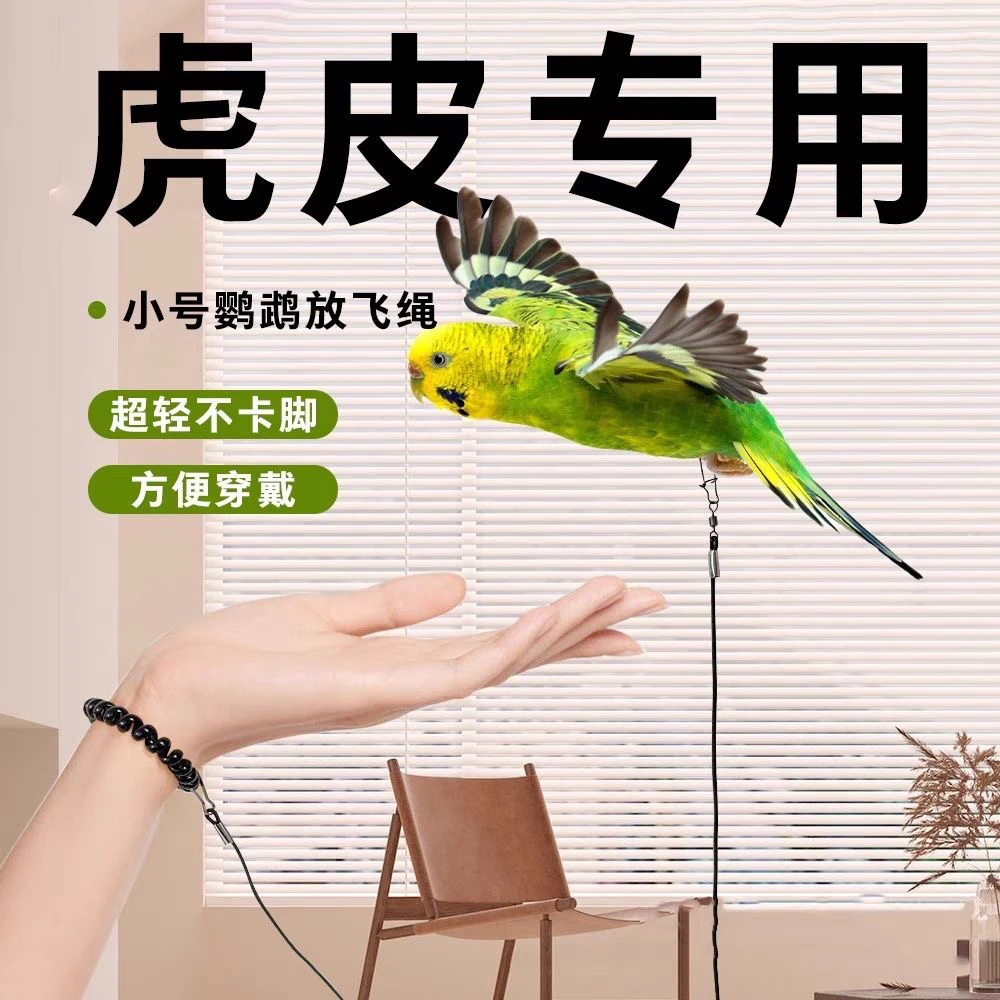 鹦鹉超轻放飞绳不伤脚适合虎皮玄凤牡丹等遛鸟训练脚链户外牵引绳