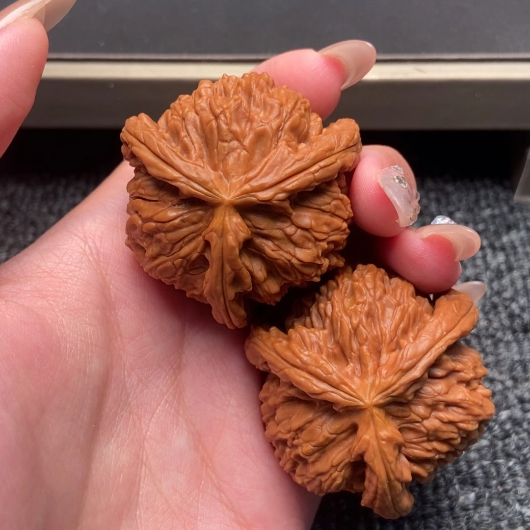 好***情木质类白狮子正奔