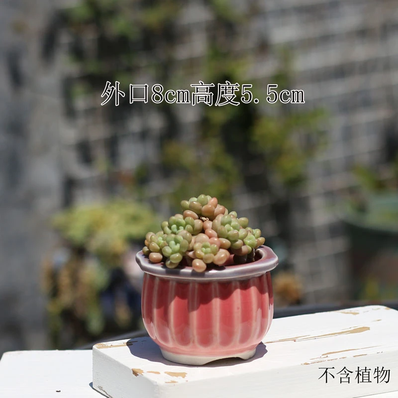 多肉花盆陶瓷小花盆可爱个性创意植物肉宿舍ins简约拇指盆