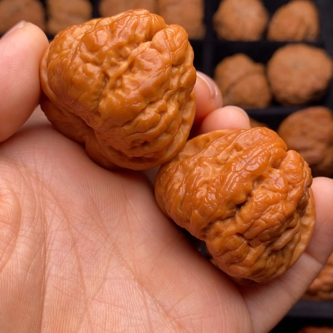 文玩核桃把件秦岭野生核桃