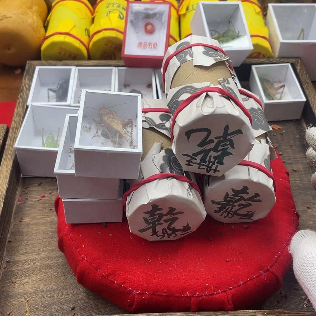 胡***王蟋蟀新的一年希望自己能有个好的
