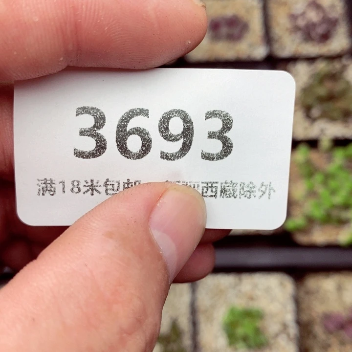 一***灰3693。