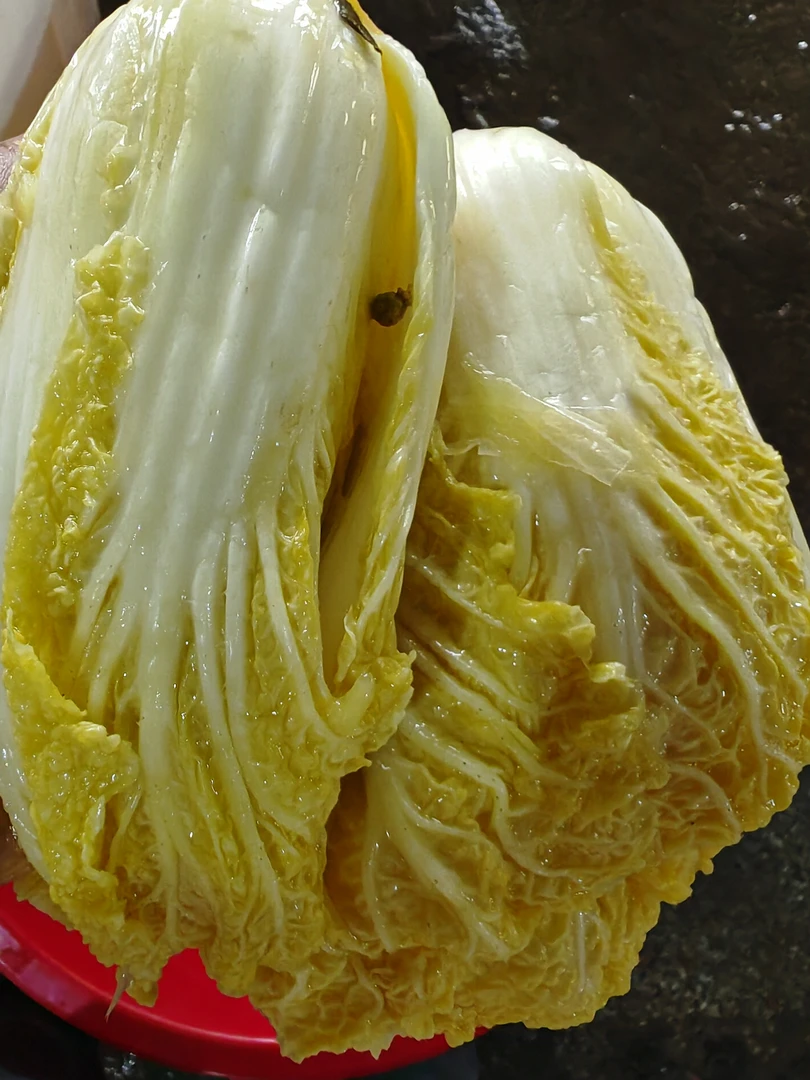 酸白菜，娃娃菜，酸，脆