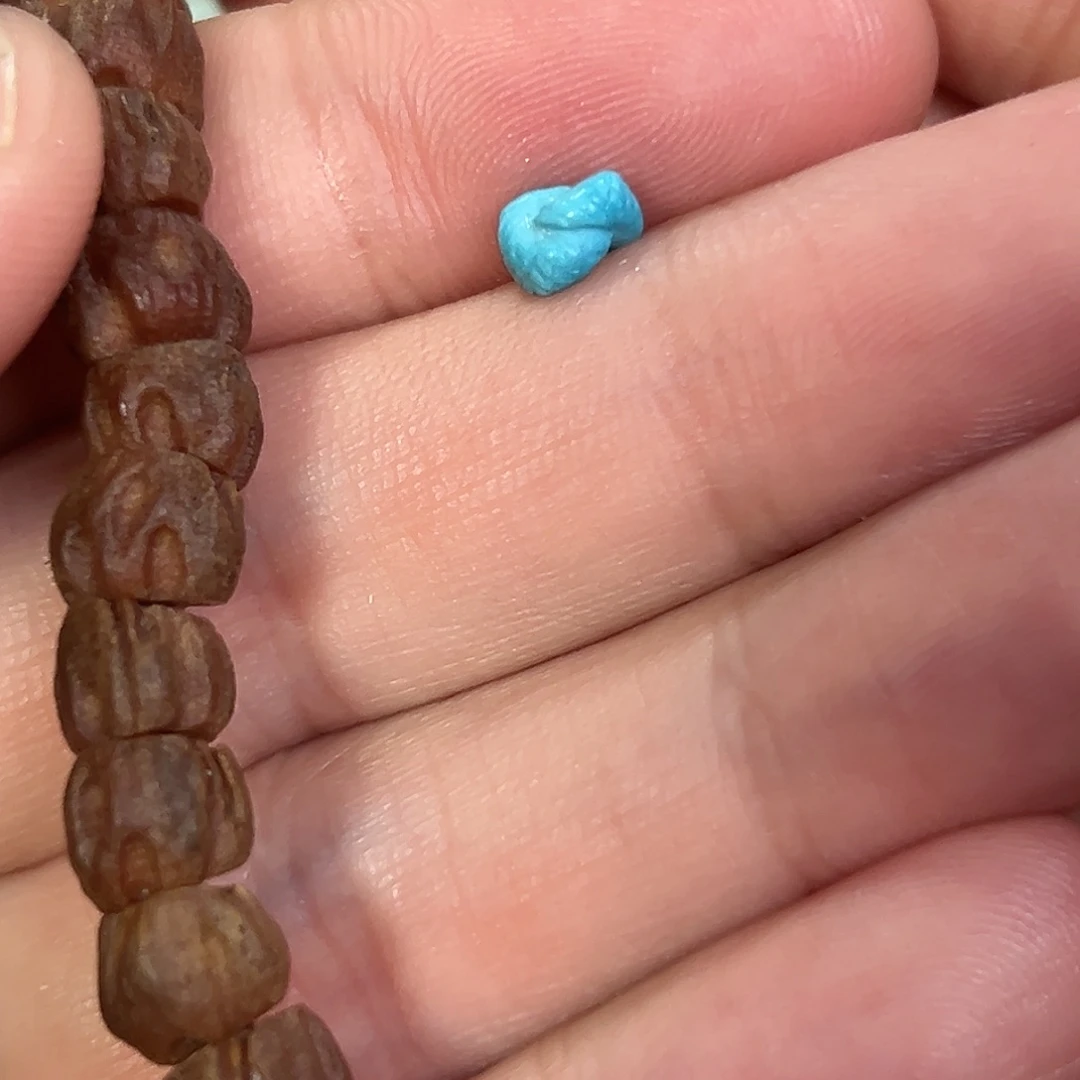 吊坠柏香籽/百香籽