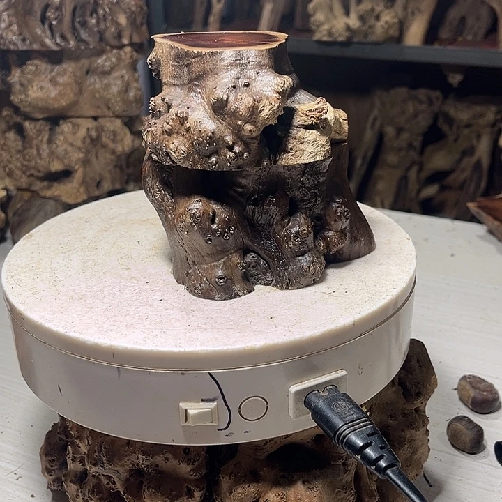 香榧木麻梨疙瘩的