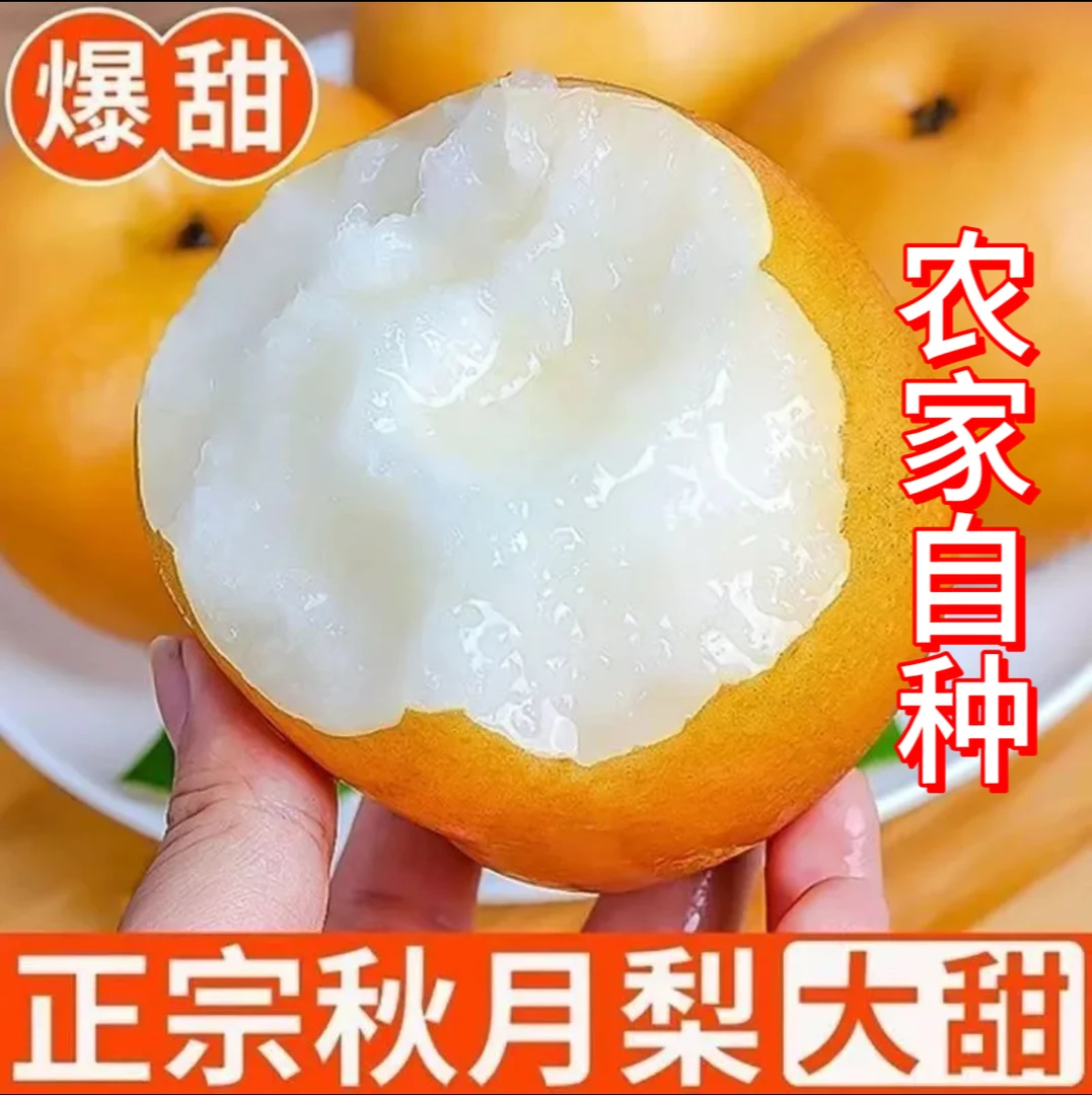 正宗秋月梨新鲜现摘脆甜多汁当季水果