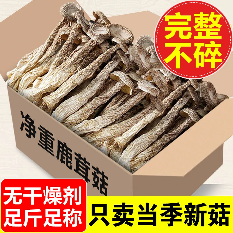 【新货尝鲜】新鲜鹿茸菇干货云南鹿茸菌干净无沙脆脆菇干锅煲汤食材