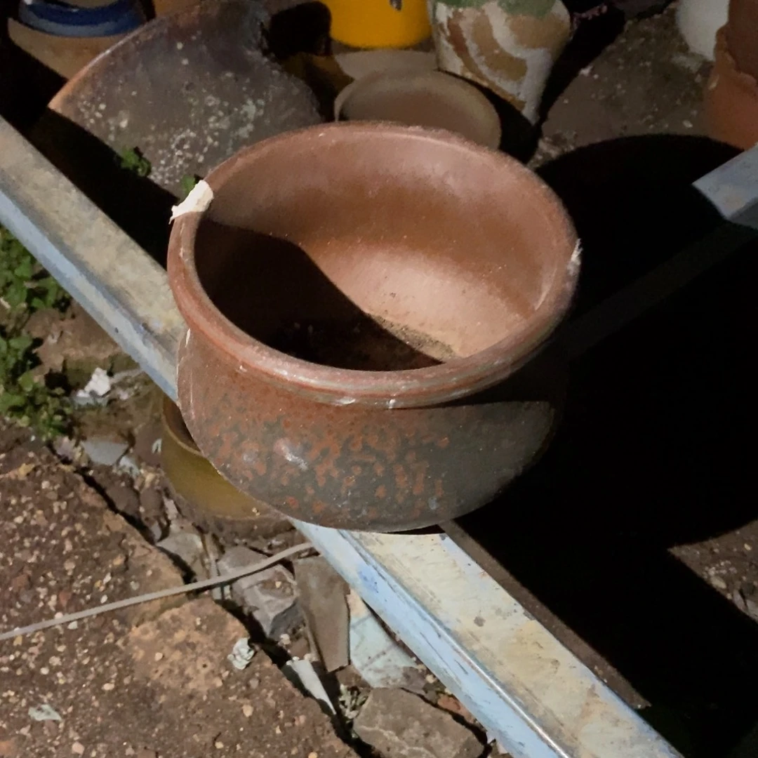 微**对105号多肉盆一个呀