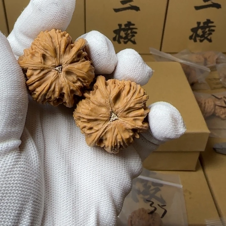 文玩核桃吊坠瓦****汤简单包装37尺寸玉龙三棱