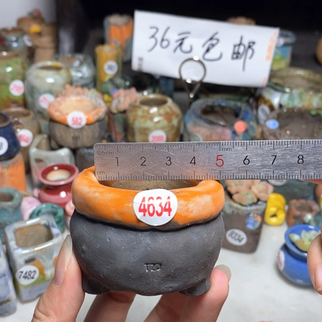 拍3送一个小礼物