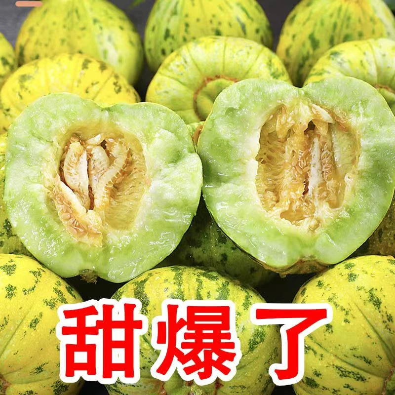 （强哥专属 顺丰快递）八里香香瓜 5斤