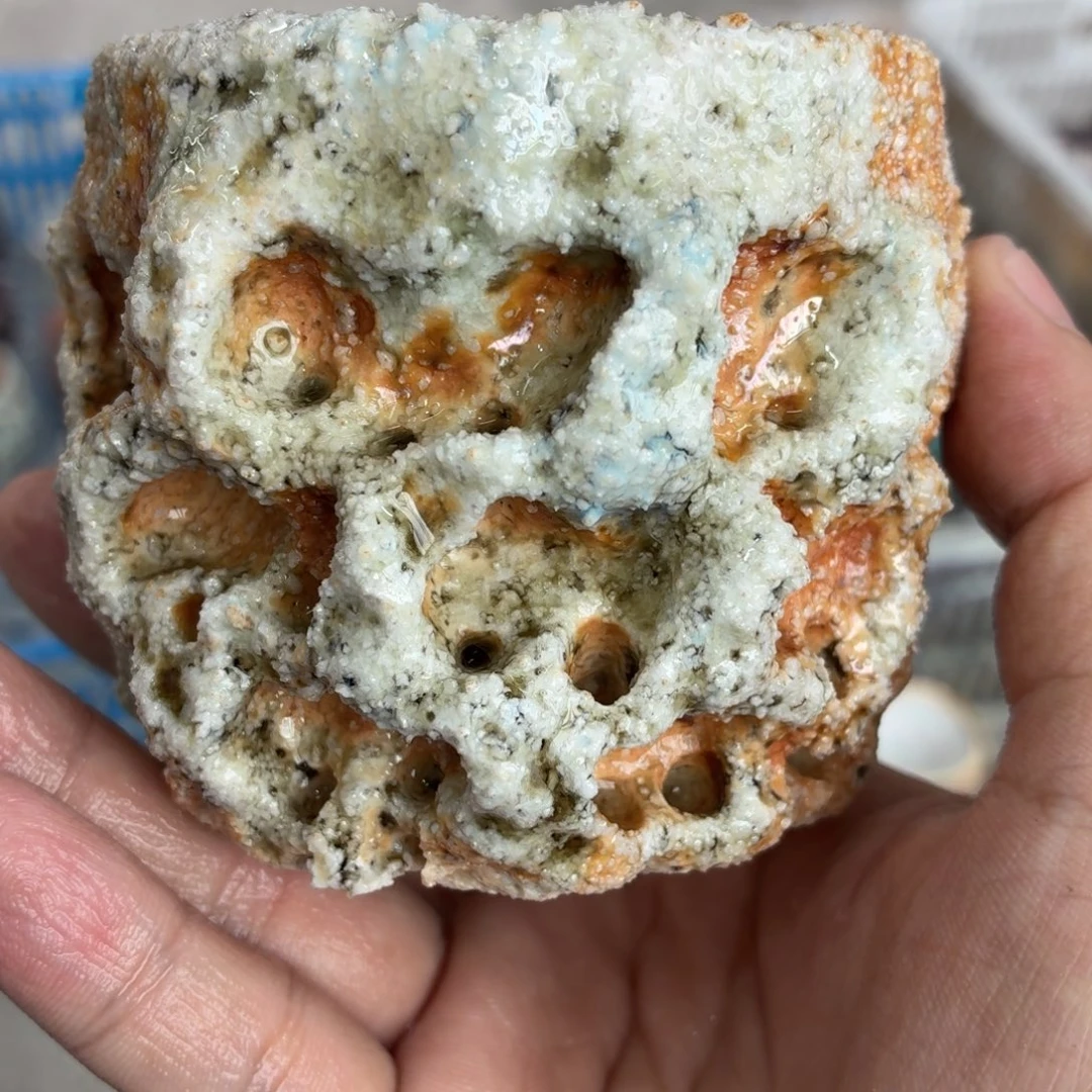 陶园柴烧，精品高货592