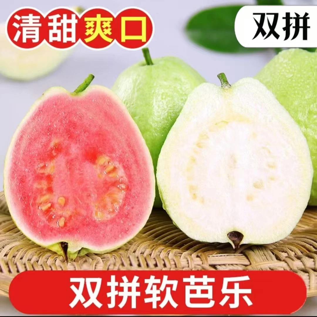 现摘福建漳州红白双拼番石榴新鲜水果芭乐3/5斤